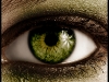 eyes_green_by_fairyofthemoon.jpg